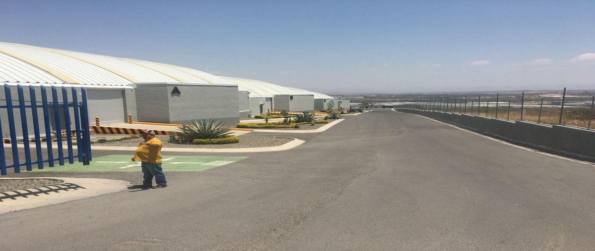 Foto de nave industrial en renta en  , castro del río [parque tecnoindustrial], irapuato, guanajuato, 0 No. 03
